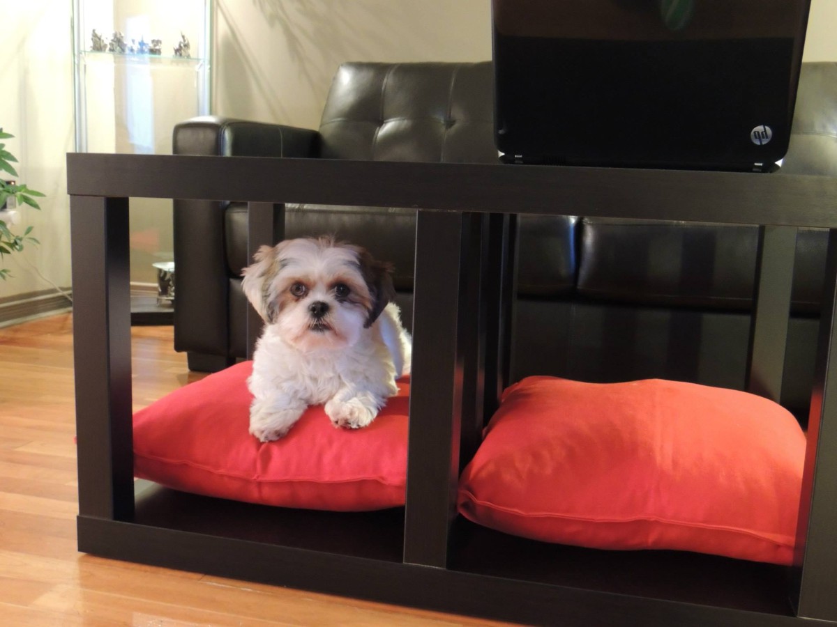 dog bed made out of coffee table