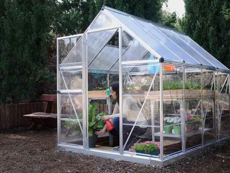 Portable Greenhouse Kits Buying Guides For Green thumbs And Garden
