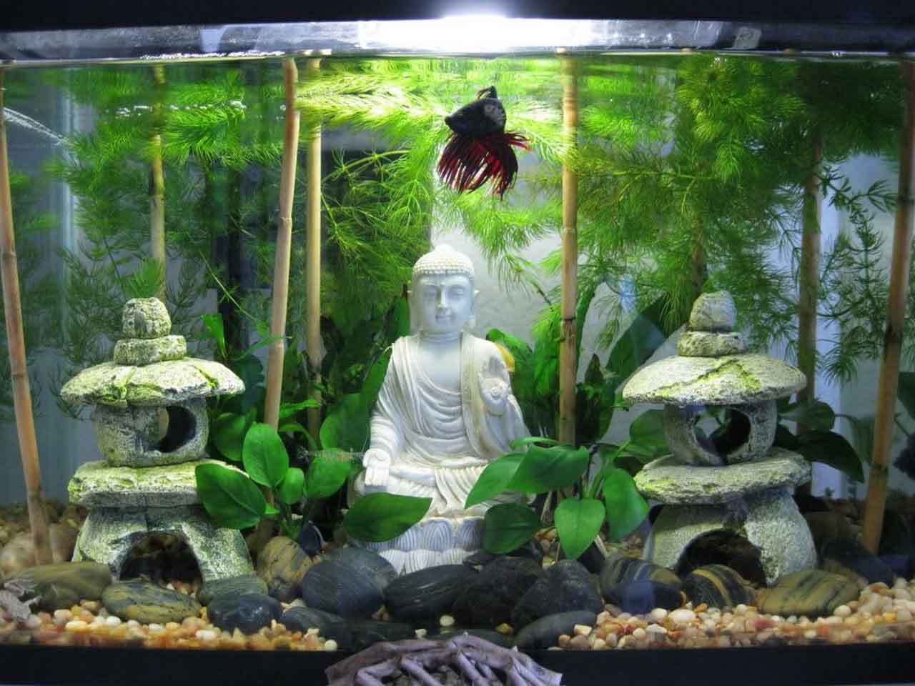 Authentic Asian Themed Fish Tank Decorations Ideas For Any Type Of Aquarium   Asian Fish Tank Decorations Large Aquarium Ornaments Tall Aquarium Decorations 