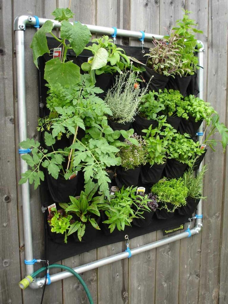 Check Out These 5 Indoor Greenhouse Kits You Should Own